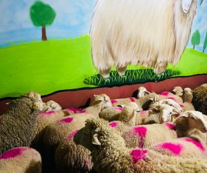 İdealtepe Adaklık Kurban Satış Yeri